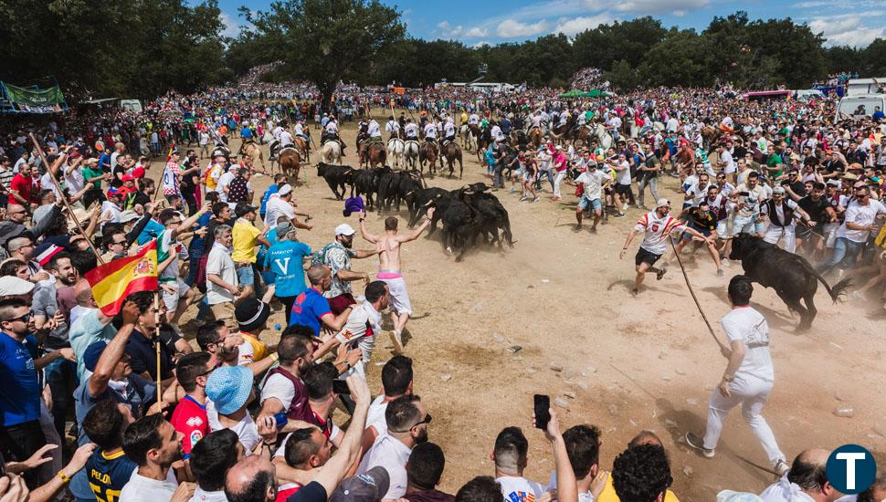 Dos heridos por asta de toro y uno por la coz de un caballo durante la fiesta de La Saca en Soria