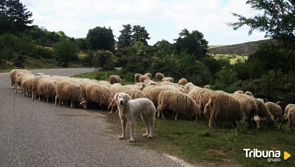 Caminos Trashumantes como atractivo turístico