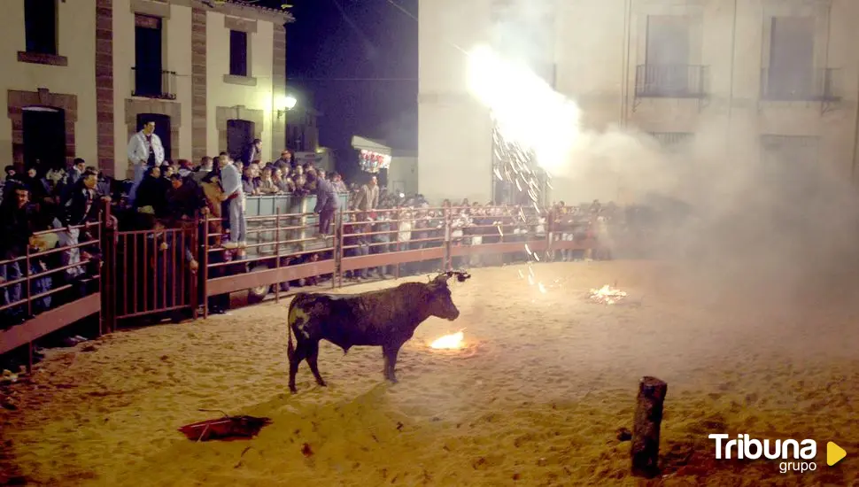 La Justicia suspende el Toro Jubilo de Medinaceli y antepone el "bienestar del animal"