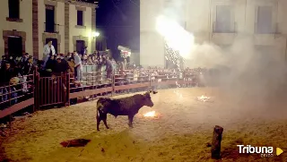 La Justicia suspende el Toro Jubilo de Medinaceli y antepone el "bienestar del animal"