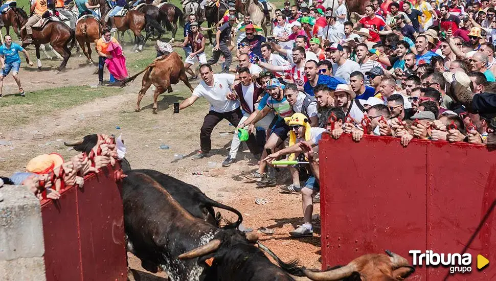 Unas 40.000 personas disfrutan de una Saca "limpia" en su salida con los 12 toros